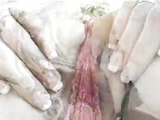 Busty Cassandra taking it from behind