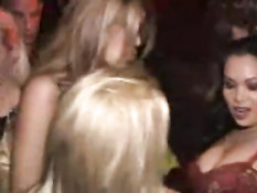 Party girls shaking their asses