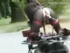Dildo cart ride
