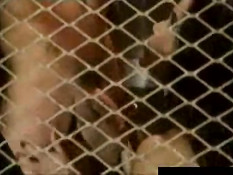 Goth bitch gets whipped and tied up