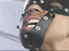 Nicole Sheridan doing great blowjob