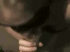 Incognito girl giving blowjob