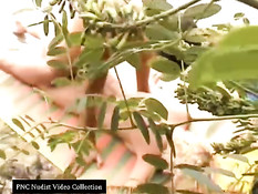 Caught fucking on the beach