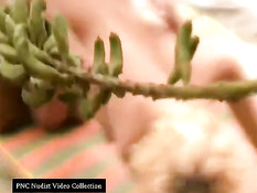 Caught fucking on the beach