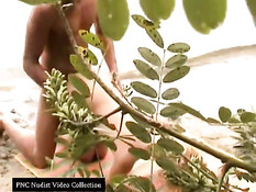 Caught fucking on the beach