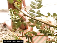 Caught fucking on the beach
