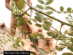 Caught fucking on the beach