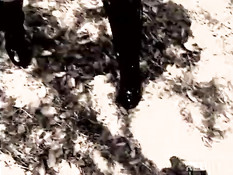 Fuck and fun in the sun