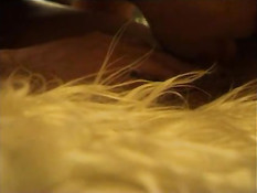 2 men fucking 1 woman