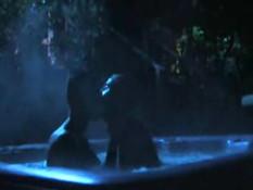 Gay kissing in pool