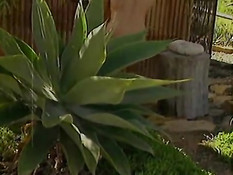 Behind the blowjob scenes