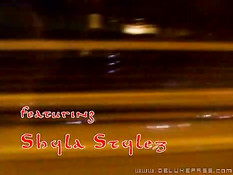 Shyla Stylez doing great blowjob