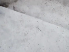 Wannabe cheerleader gets fucked too