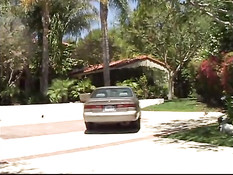 Lesbian vaginal pleasures