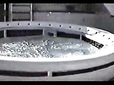 Pam's private tape 1