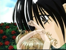 Decadent aristorcrates