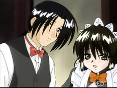 Decadent aristorcrates