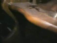 How to fuck your girlfriend