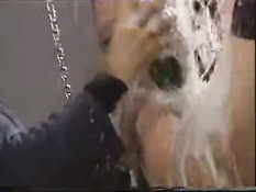 Champagne out of pussy