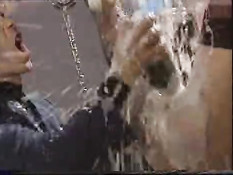 Champagne out of pussy