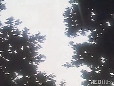 Punks on desert island