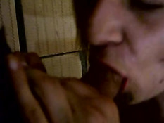 Nice blowjob in the backyard