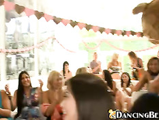 Happy bear having a party