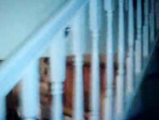 Guy caught fucking a blow up doll