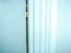 Guy caught fucking a blow up doll