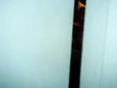 Guy caught fucking a blow up doll