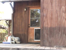 chyanne jacobs gives upskirt then gets cumshot