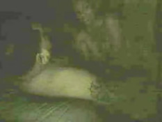 Lucky guy gets sucked & fucked