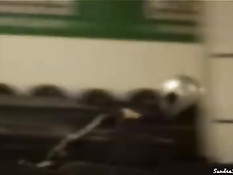 Sandra and Eve are lesbian hotties