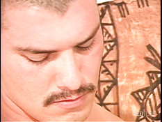 Two bears with huge cocks