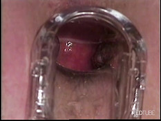 The motorcycle bike bang club