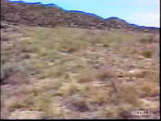 Cowboy cocks in the wilds