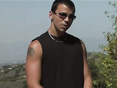 Fucking like animals