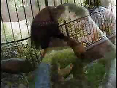 Suck It If You Want To Be A Star