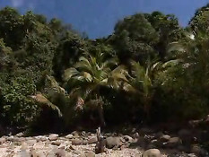 Sabine Mallory & Sharka Blue On The Beach