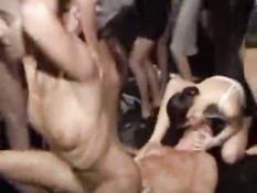 Party Gone Way Out Of Control