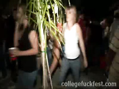 Brunette Blows Stranger In Public