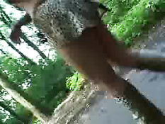 European Girls Are Bitches