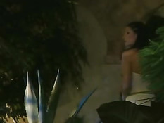 Sex In The Outdoor Hotel Lobby