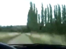 Blowjob In My Dad's Car