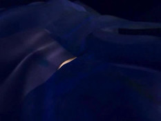 Anita Dark & Karen Lancaume: Victims Of A Voyeur