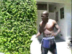 Venus Craving 3 Black Dicks