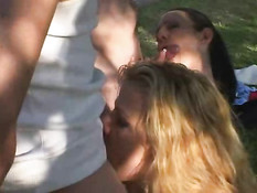 Sluts Begging For Facials