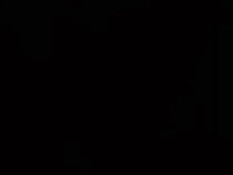 Oil, Oil And More Oil With Trina Michaels