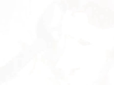 Mika Tan Dominates White Girl