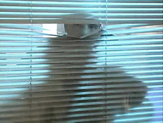 MILF Likes Using Feet